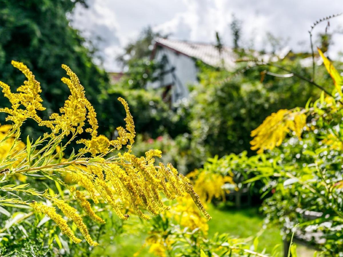 Kleebergerhofke Bed & Breakfast Mechelen Dış mekan fotoğraf