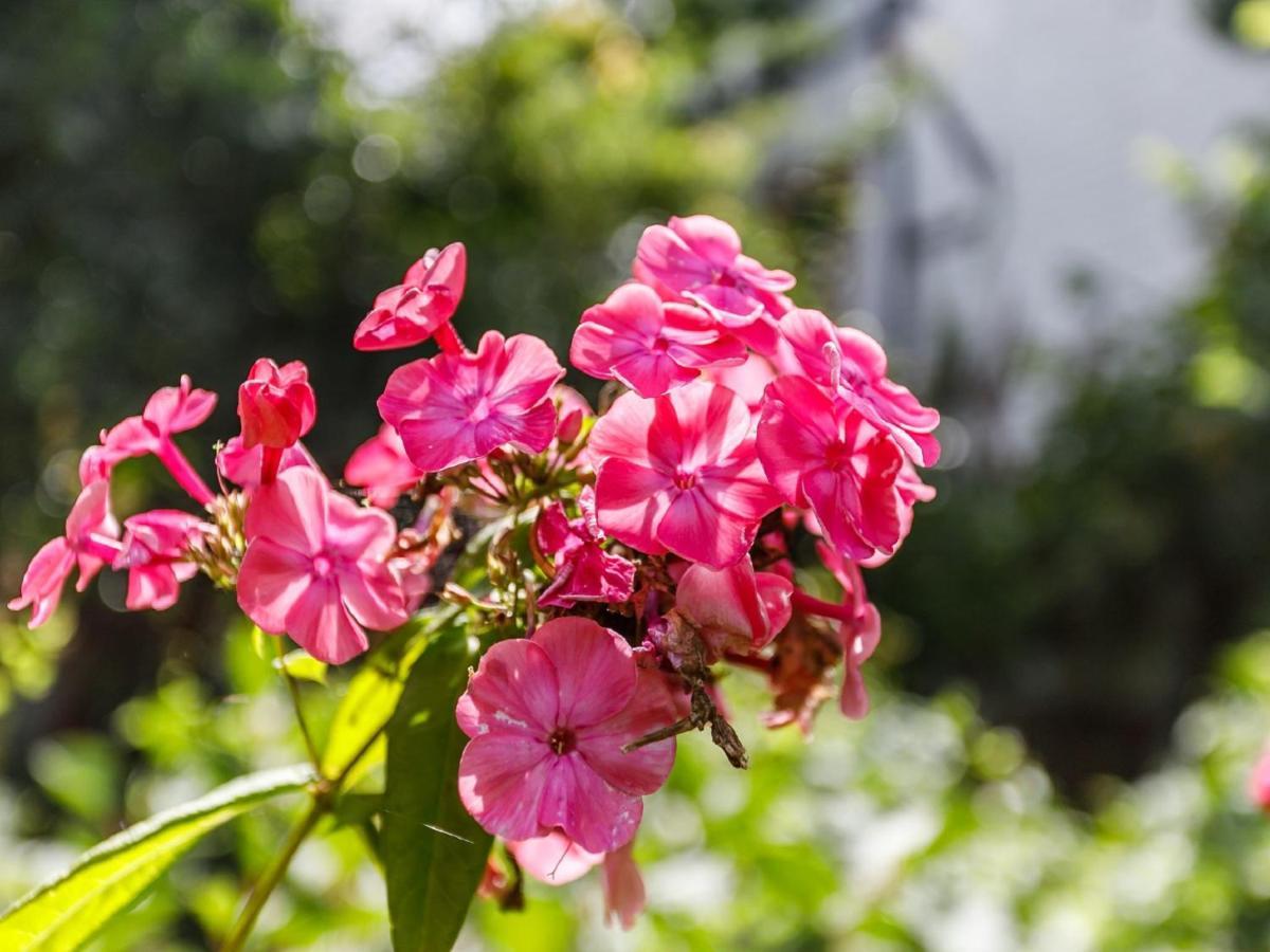Kleebergerhofke Bed & Breakfast Mechelen Dış mekan fotoğraf